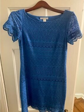 London Times Royal Blue Lace Short-Sleeve Shift Dress